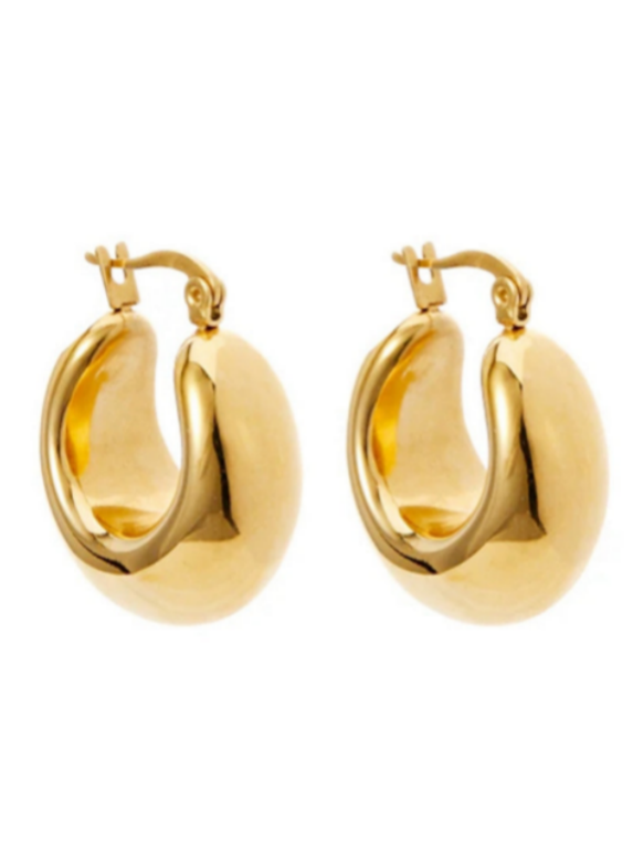 Glossy Broadband Earrings