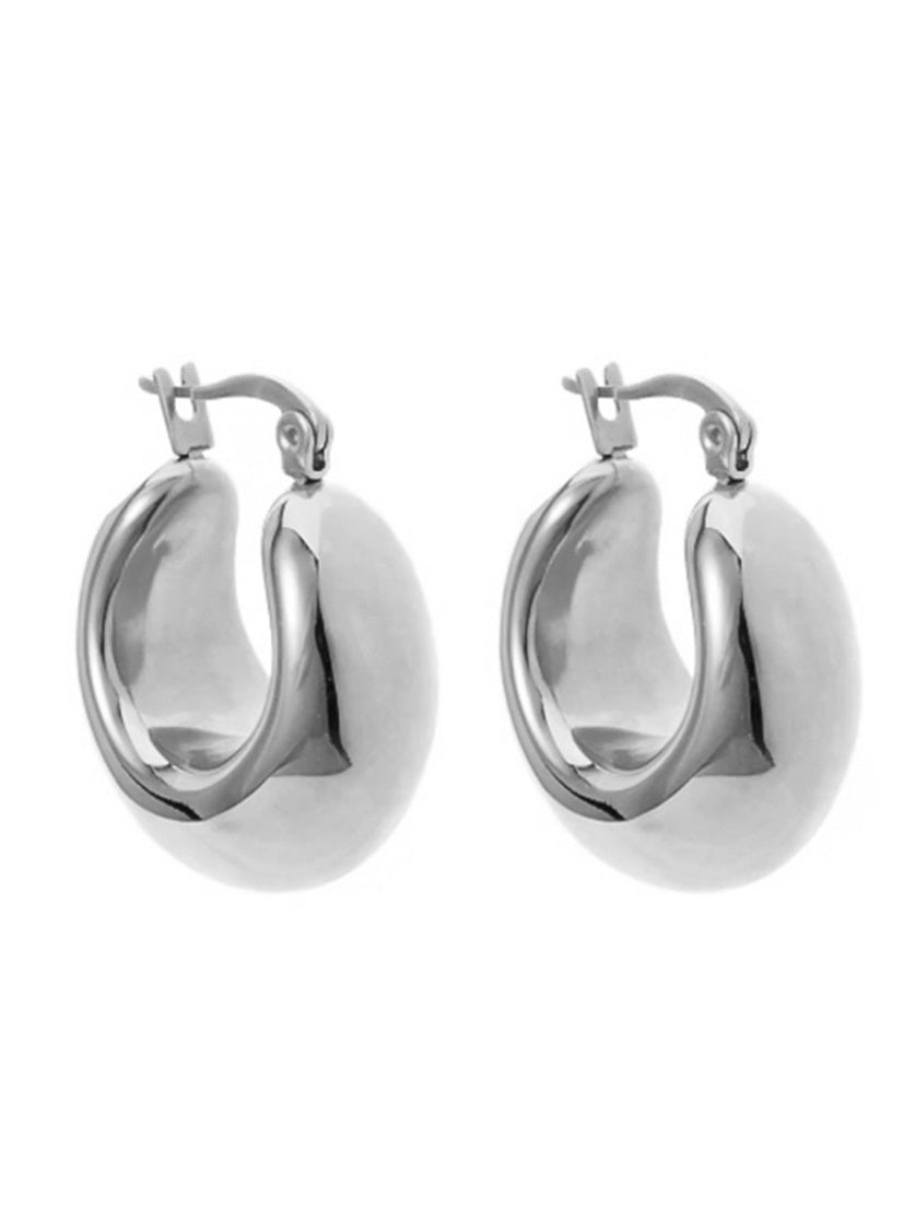 Glossy Broadband Earrings