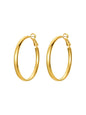 Large Loop Earrings