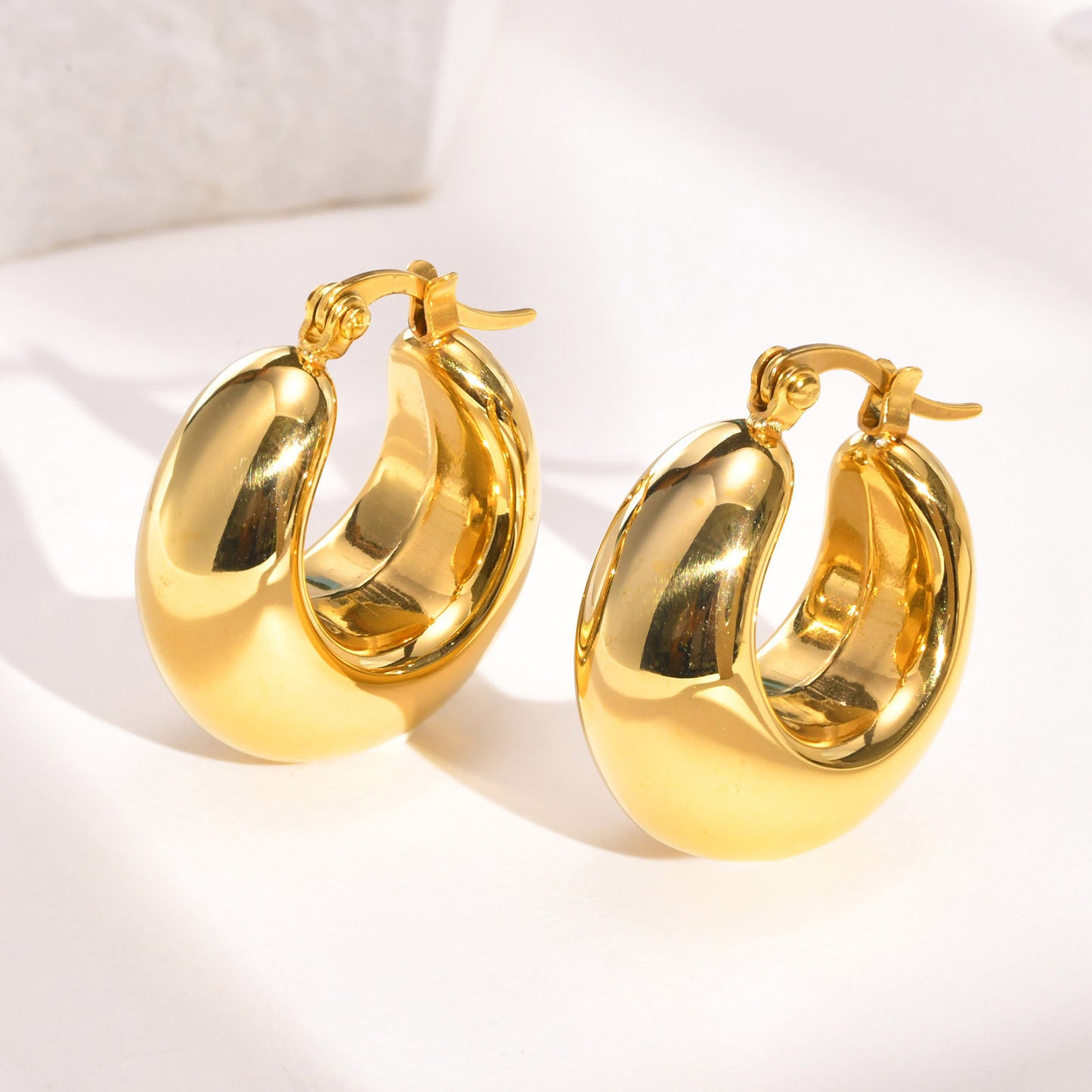 Glossy Broadband Earrings